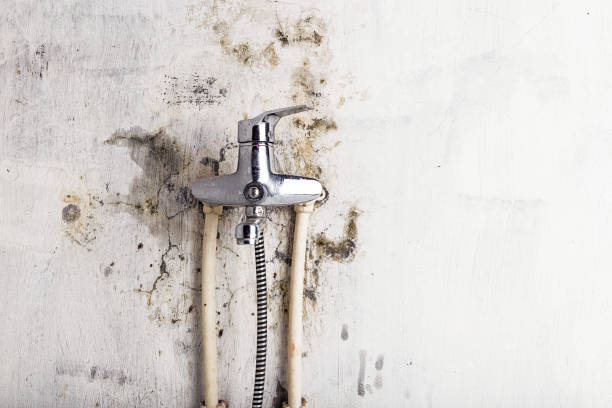 Best Home Mold Removal  in Naval Academy, MD