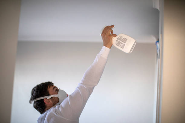Mold Removal and Inspection in Naval Academy, MD