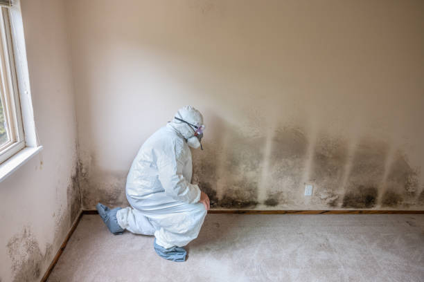 Best Crawl Space Mold Removal  in Naval Academy, MD